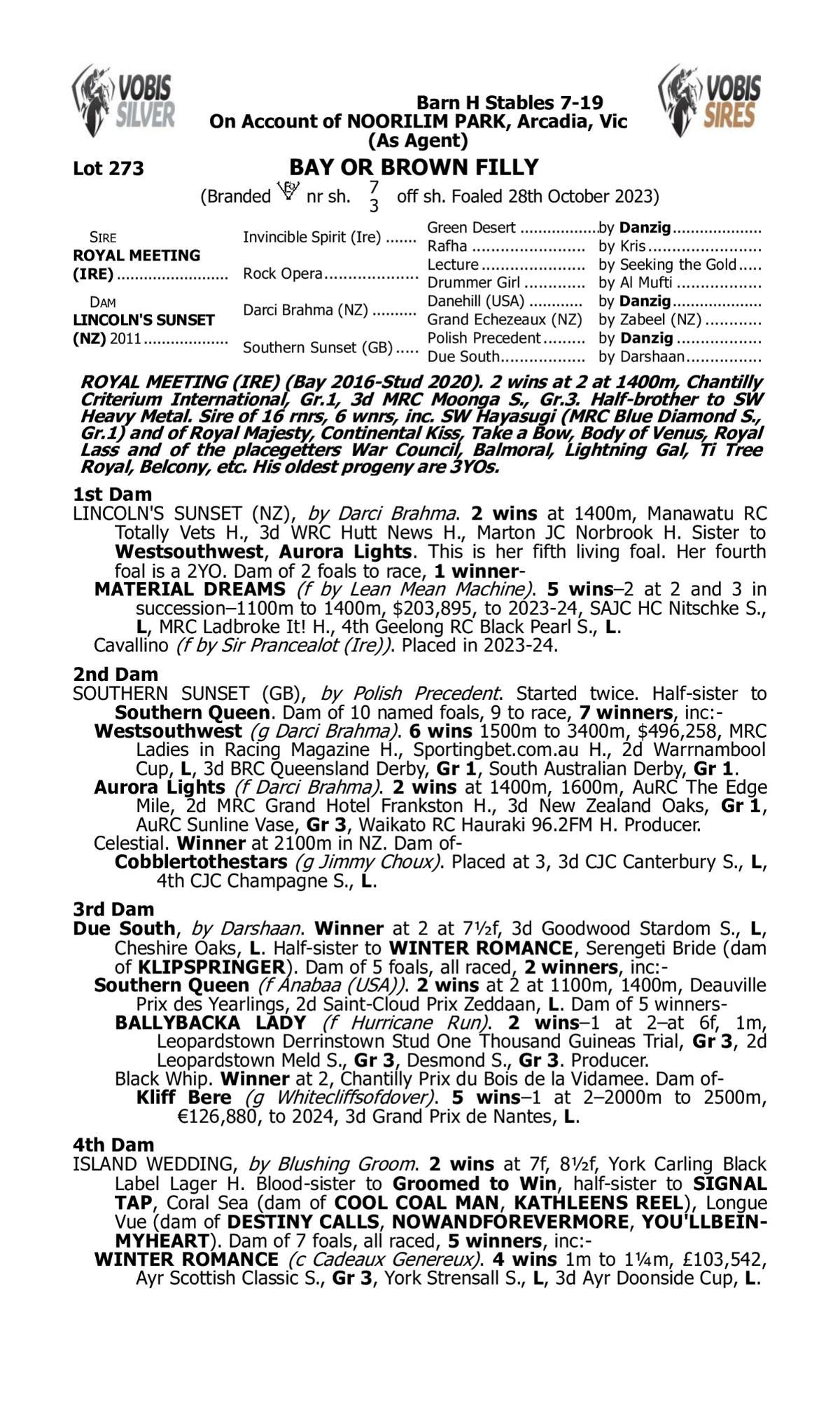 Royal Meeting x Lincolns Sunset Filly