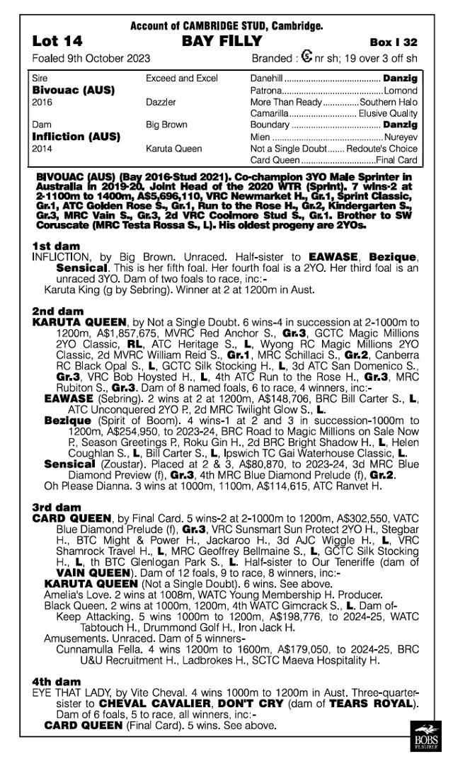 Bivouac x Infliction