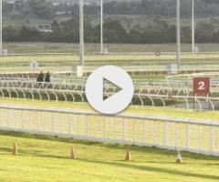 Sword of State / Lady Rain Colt