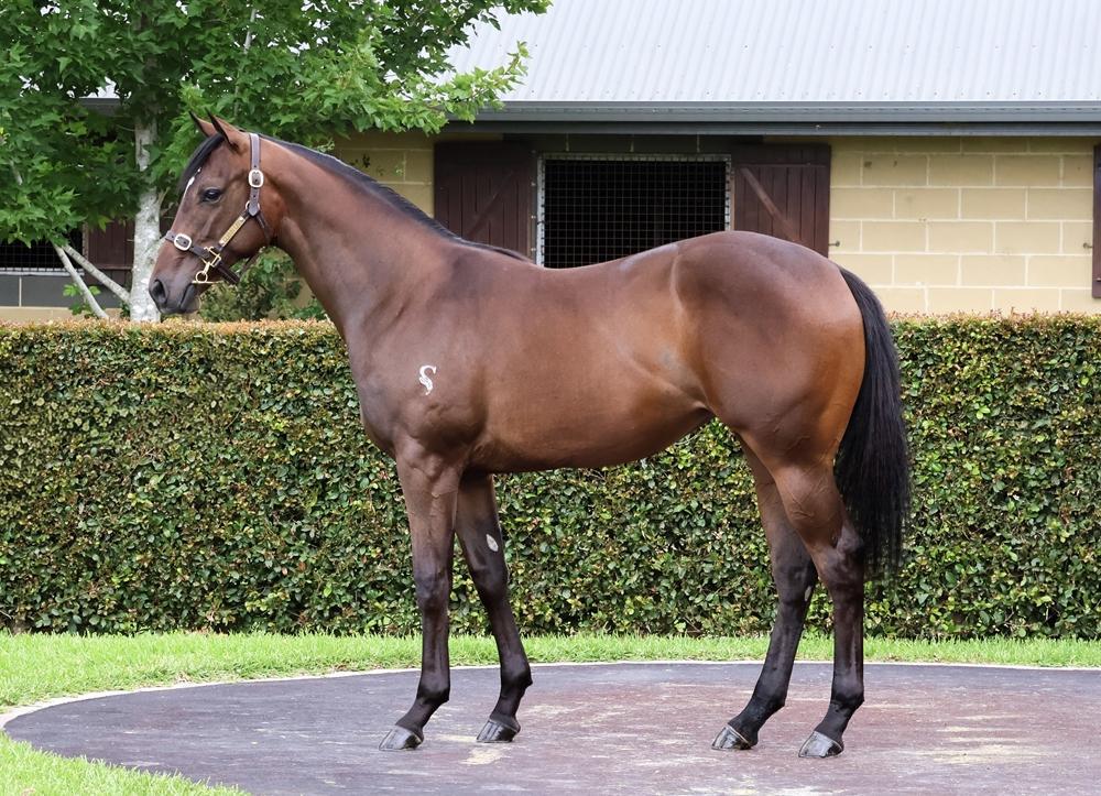 Pierro/Poetic Harmony '24