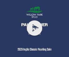 Palace Pier Filly