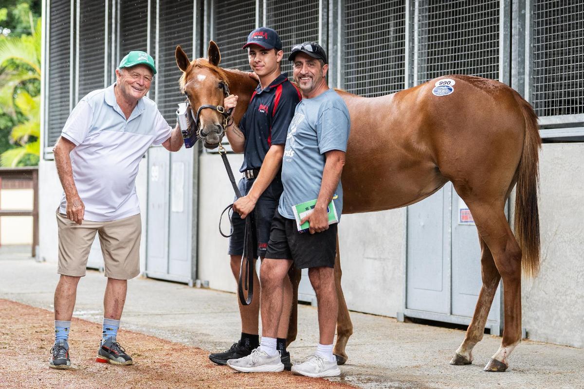 horse-image