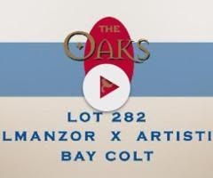 Almanzor x Artistic colt
