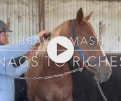 Brave Smash X Nags To Riches