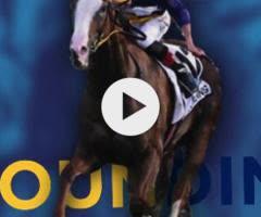 Spirit of Boom x Marluccio Filly