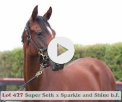 Super Seth x Sparkle And Shine