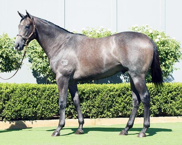 D’Argento x Deep Value