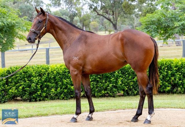 Ave Cantare (2yo filly by Microphone)