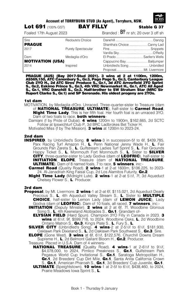 Prague x Motivation '23 Filly