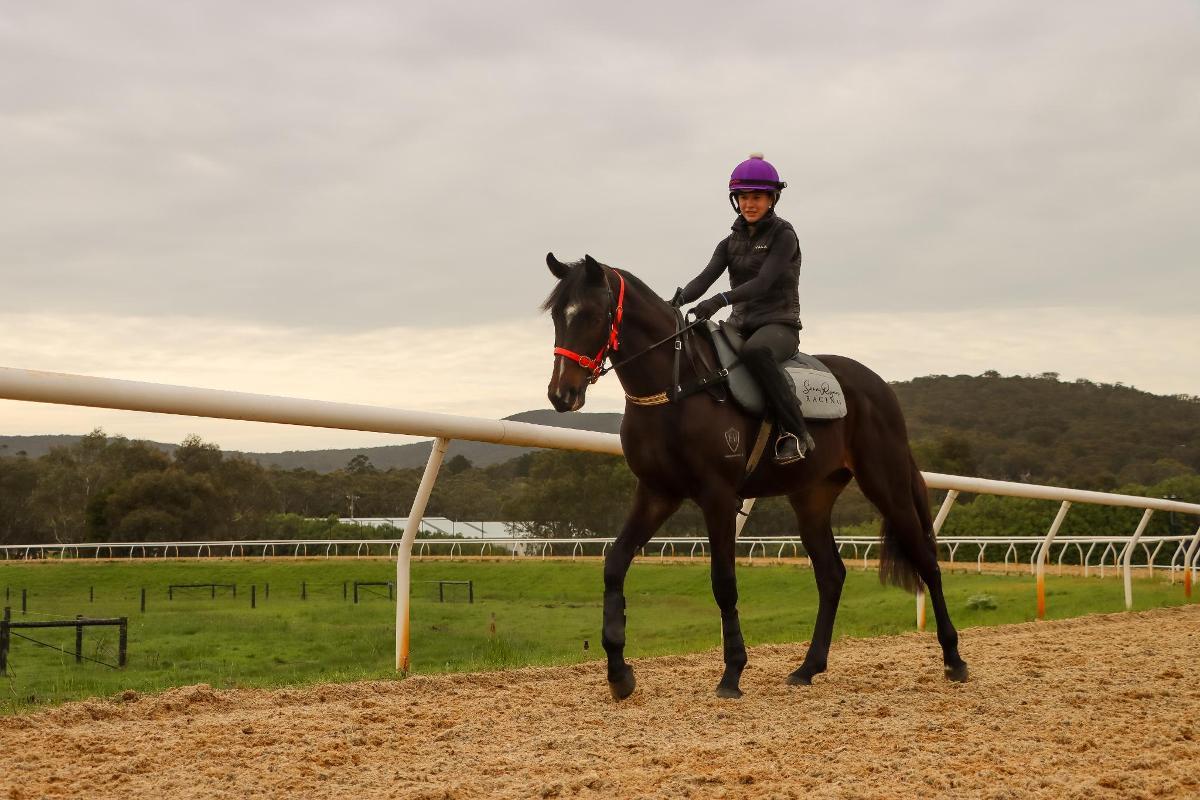 So You Think 2yo colt