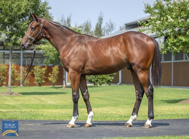 Kings Legacy x Inishowen