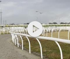 Farnan / Lolanka Filly