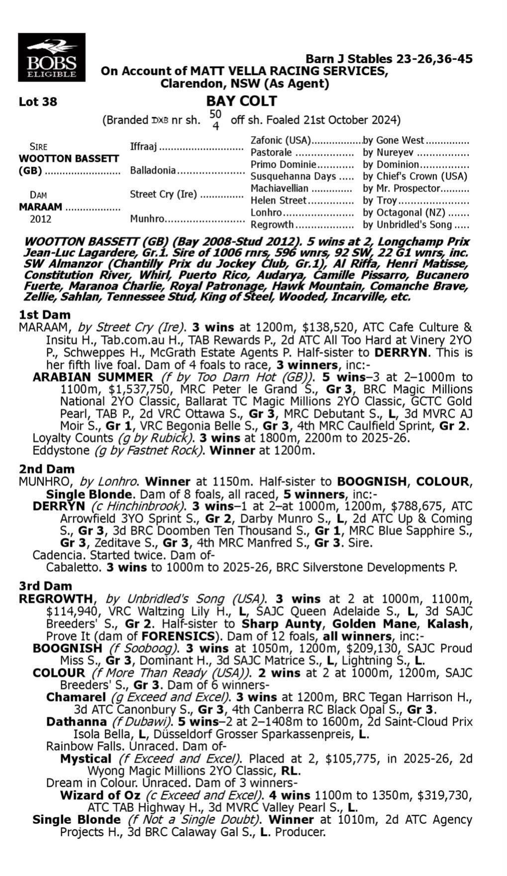 Wooton Bassett x Maraam 2YO Colt