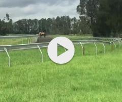 Pierro/Poetic Harmony '24