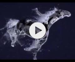 Harry Angel x Meschever Colt 