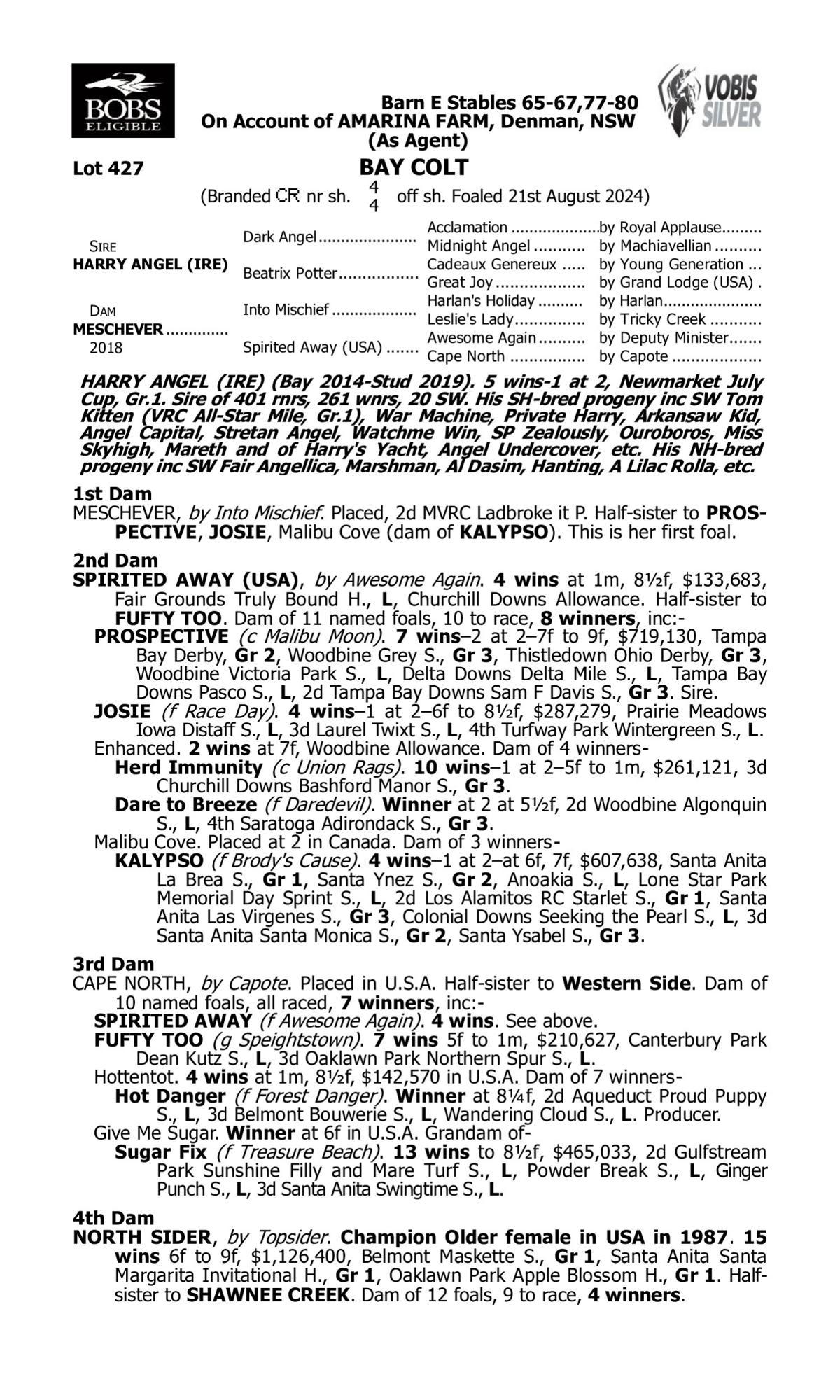 Harry Angel x Meschever Colt 