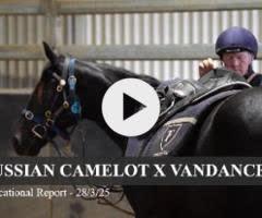 Russian Camelot x Vandancer