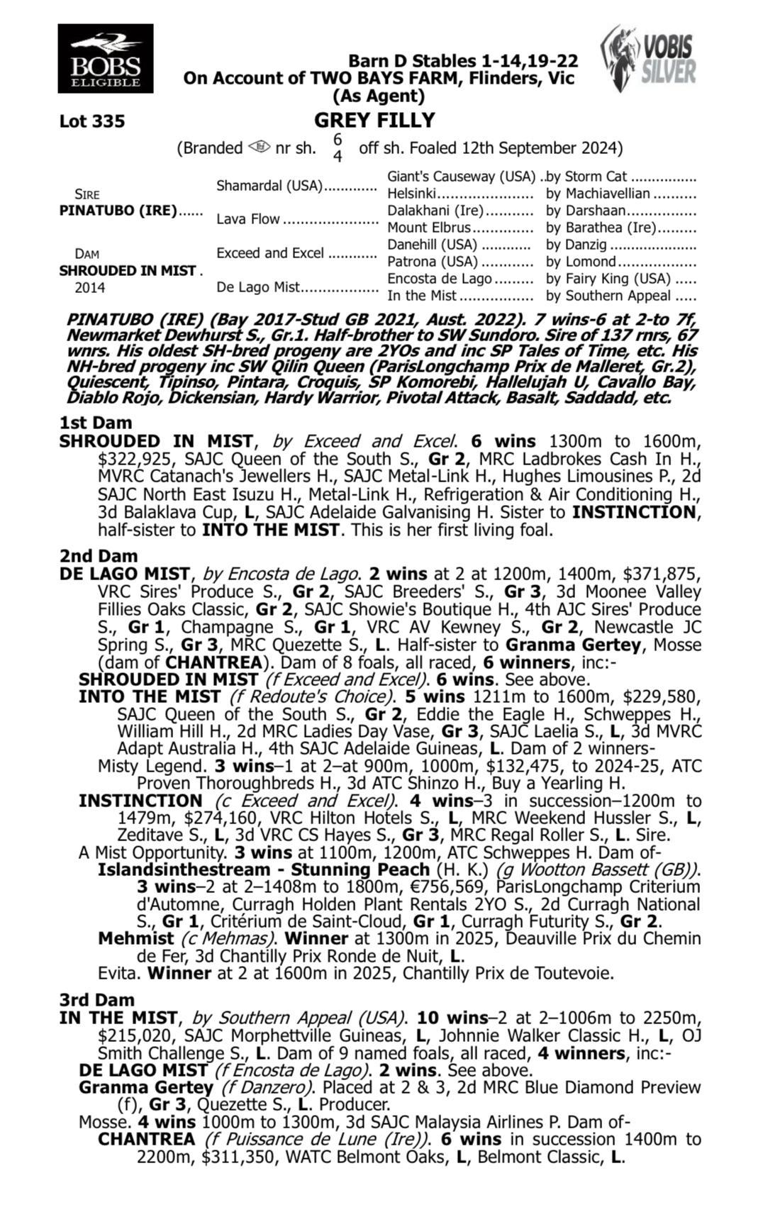 Pinatubo x Shrouded In Mist '24 Filly