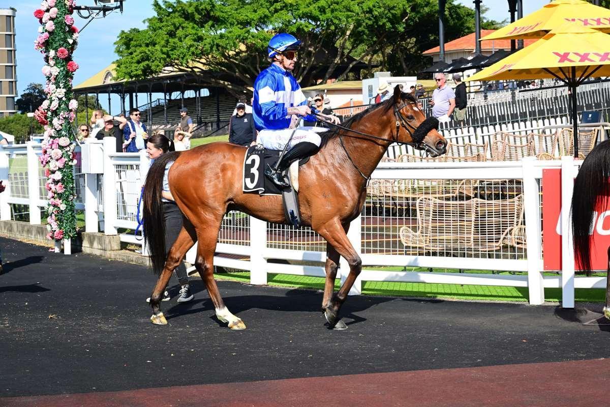 horse-image