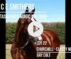 Churchill x Classy Missile