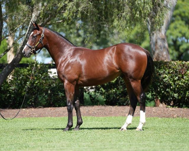 Toronado/Just a Blur '23