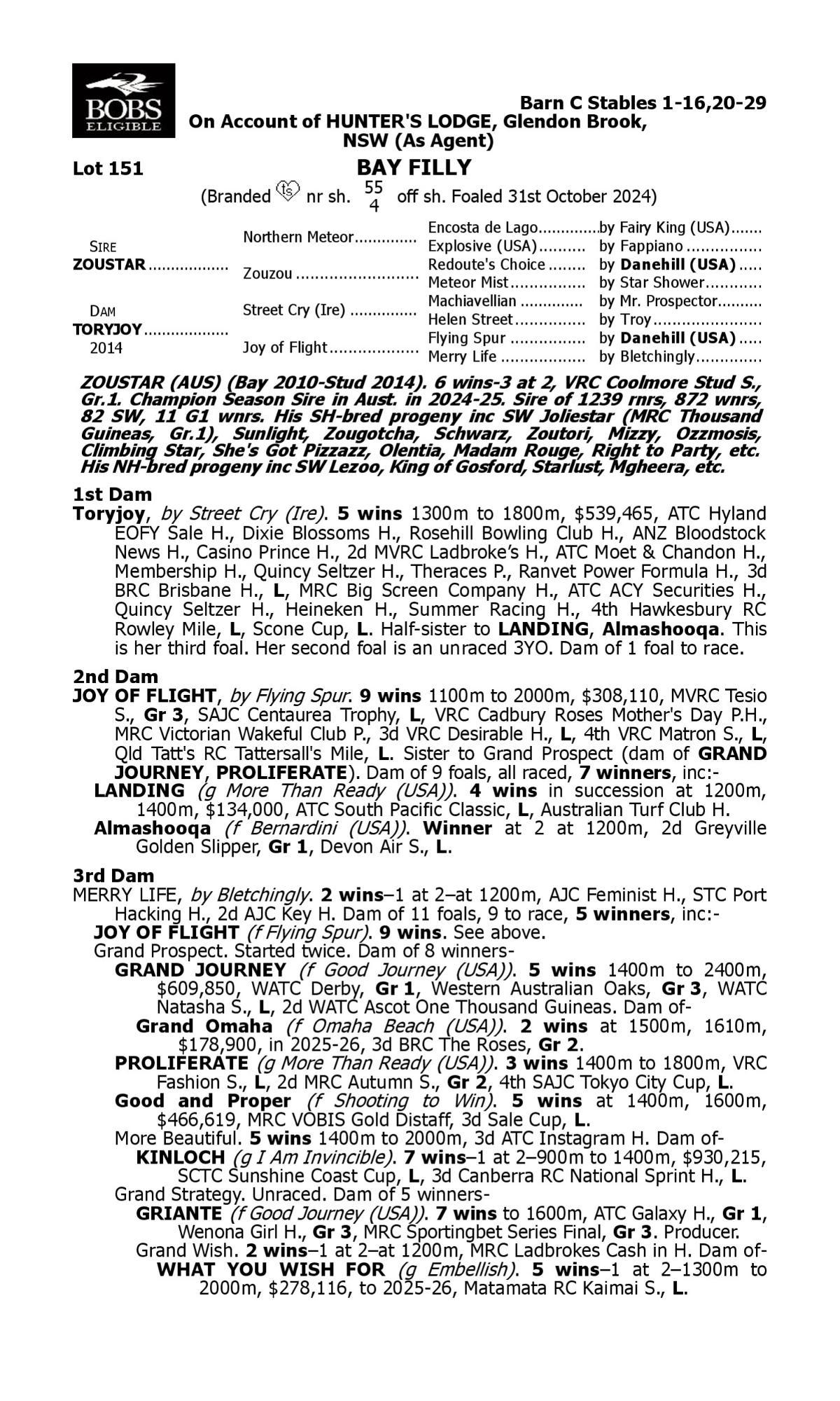 Zoustar x Toryjoy'24 Filly