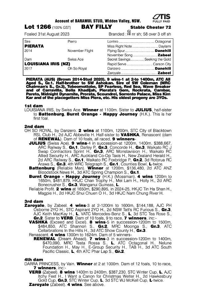 Pierata x Louisiana Iris filly