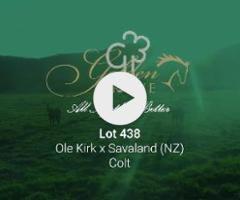 Ole Kirk x Savaland