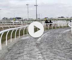 Sword of State / Lady Rain Colt