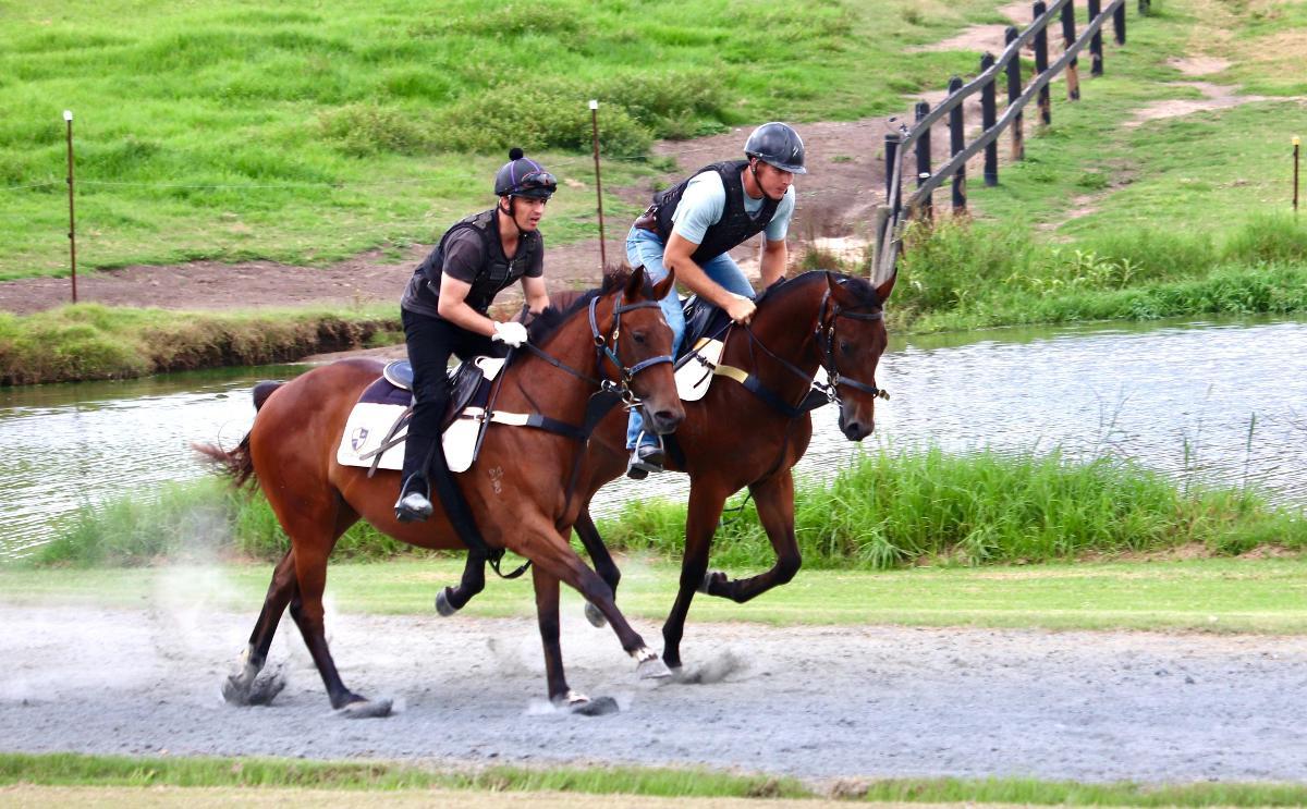 Ave Cantare (2yo filly by Microphone)