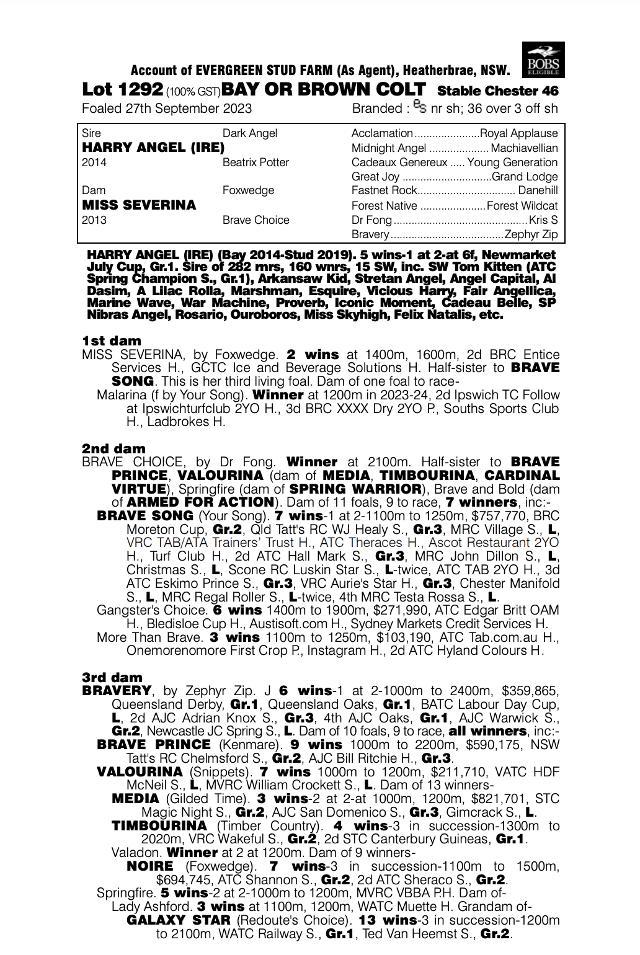 Harry Angel x Miss Severina Colt