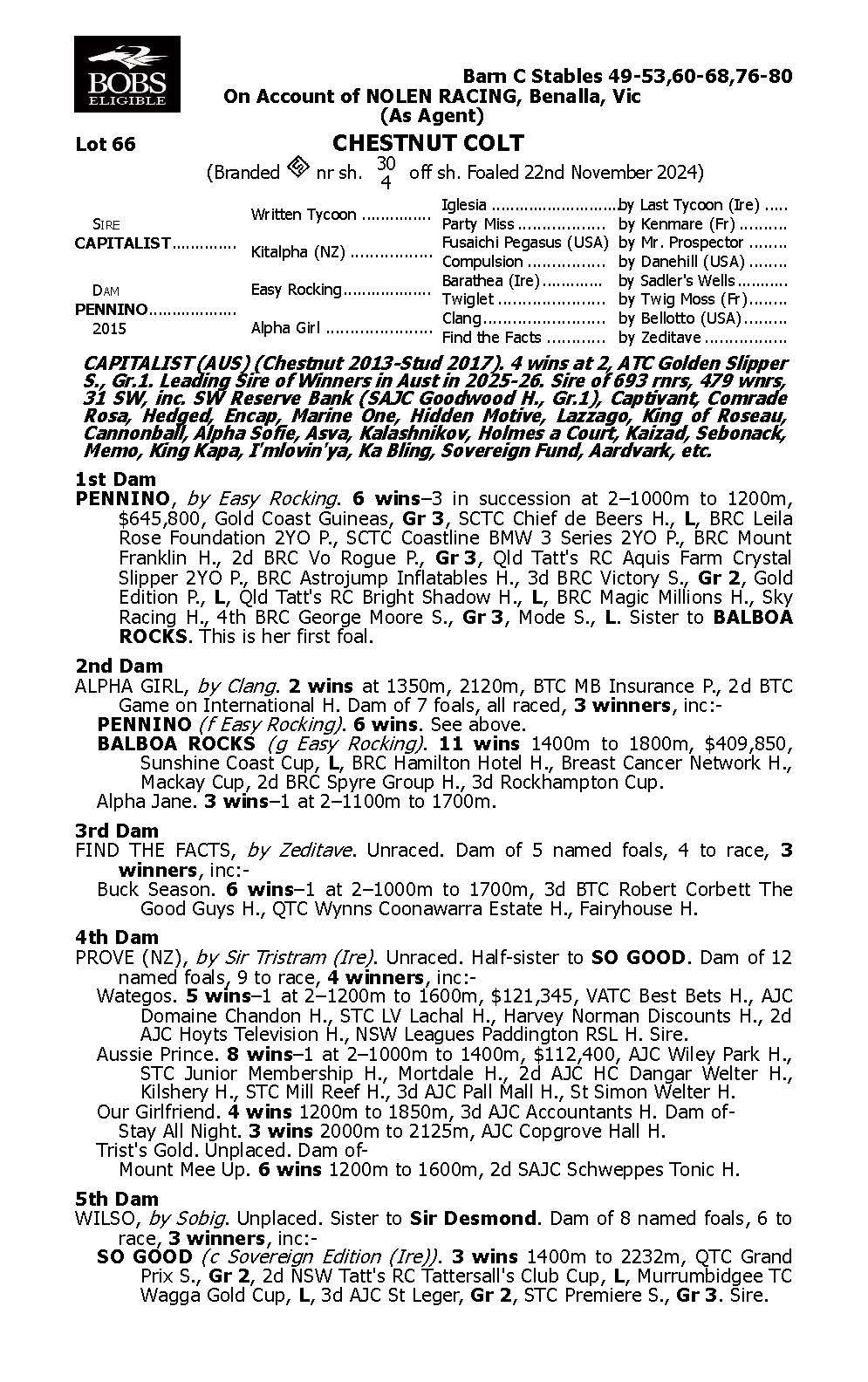 Capitalist x Pennino '24 Colt