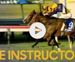 Shamus Award x Pop Star Princess (NZ) 24 filly