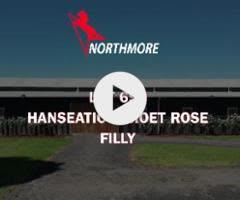 Hanseatic x Moet Rose