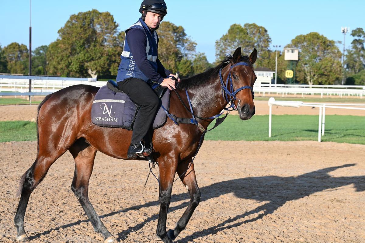horse-image