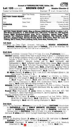A colt : Better Than Ready x Zunaida