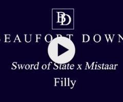 Sword of State x Mistaar