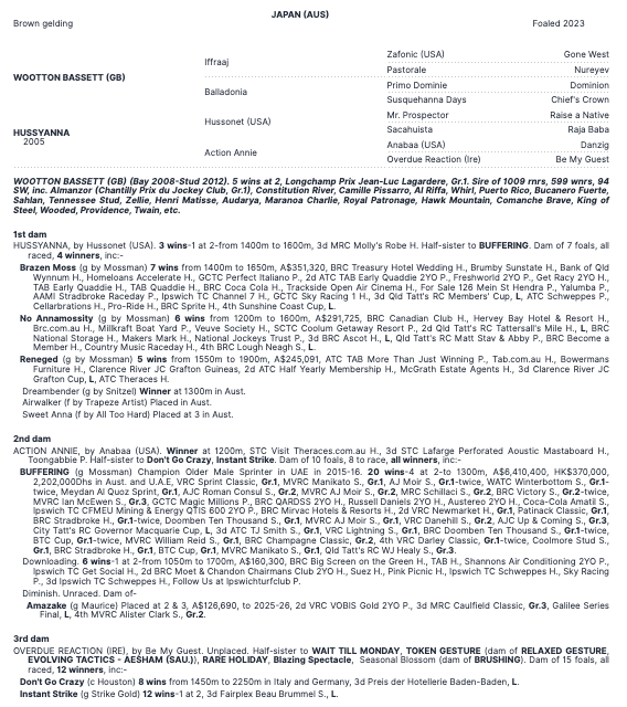 Japan - Newly Turned 3yo perfectly suited to Brisbane Metro - SOLD