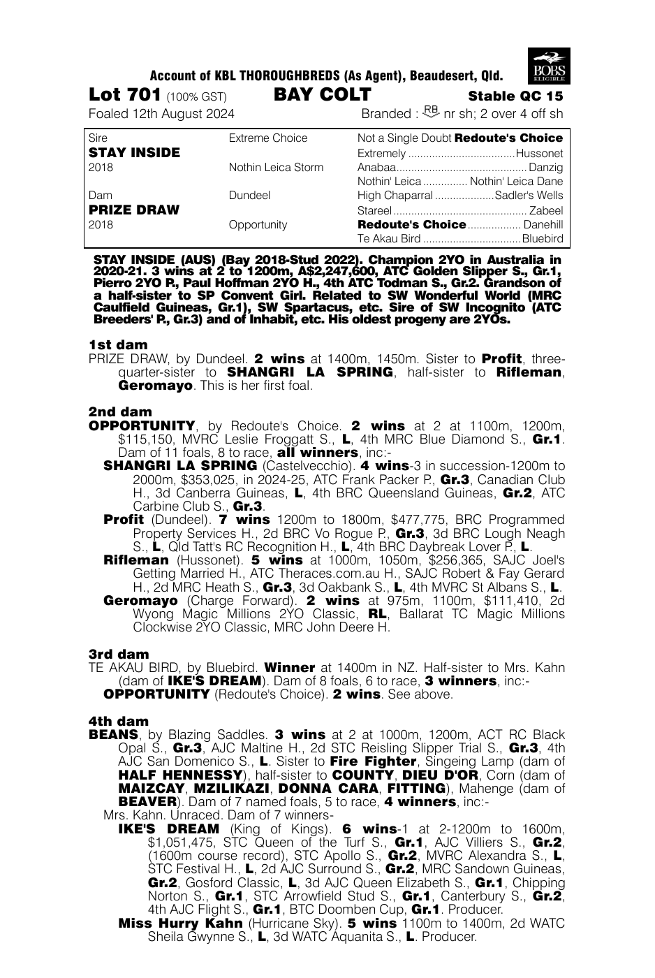 Stay Inside x Prize Draw colt