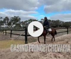 Casino Prince / CHevaria