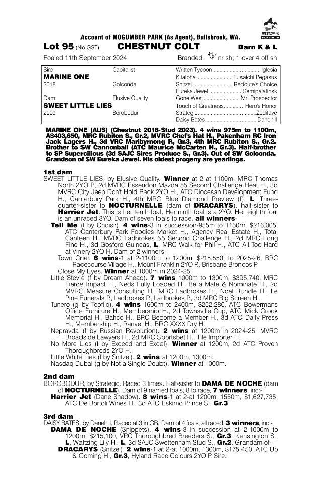Marine One x Sweet Little Lies Colt
