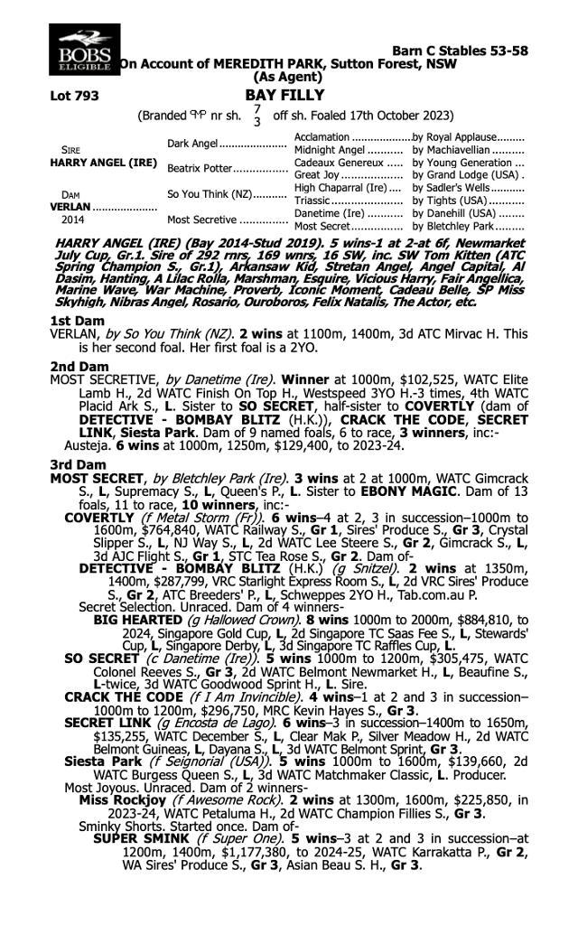 Harry Angel x Verlan filly