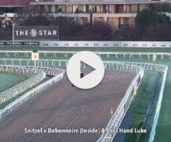 Snitzel/Debonnaire '23