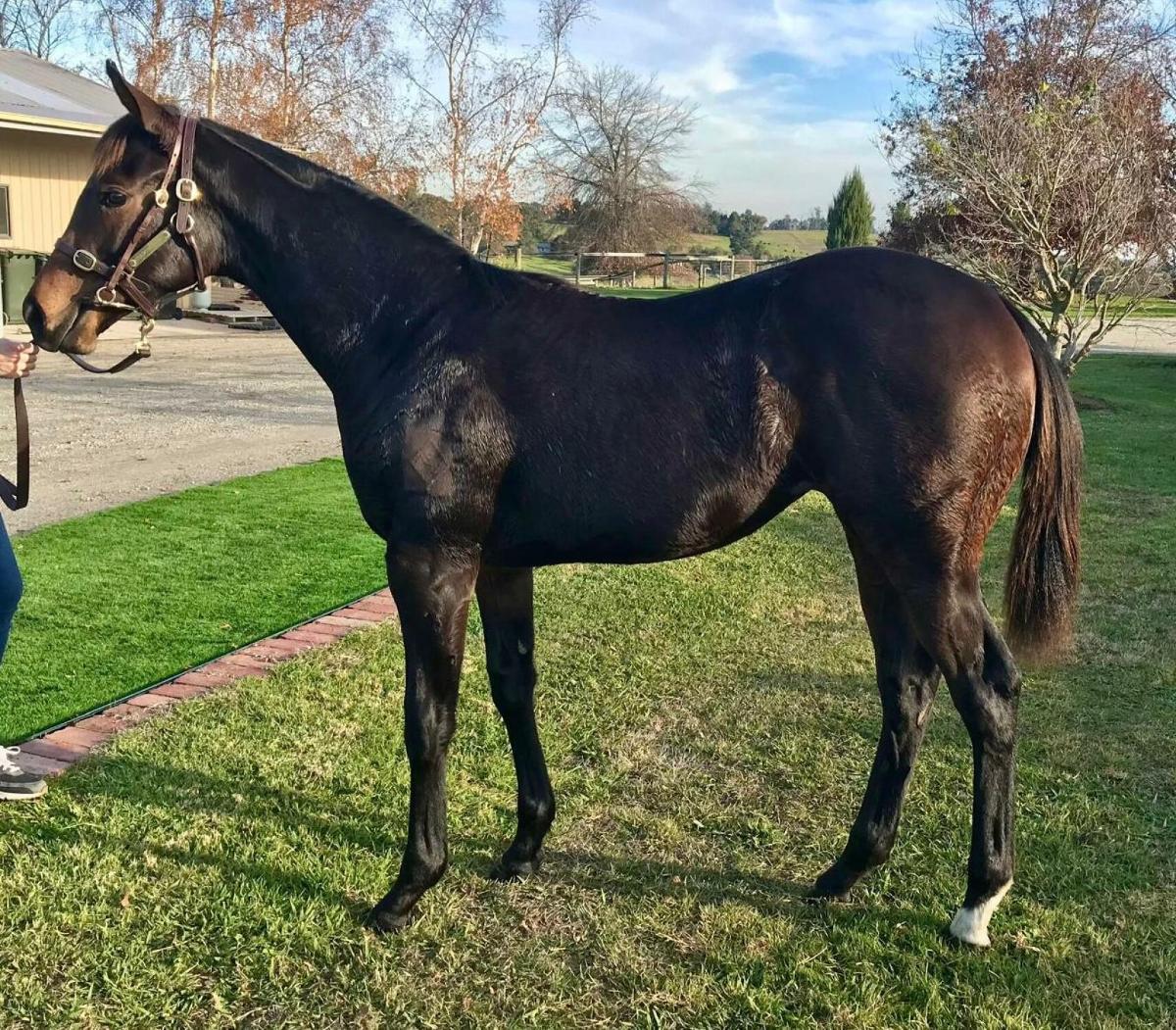 State Of Rest x High Hostess