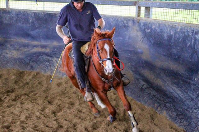 Street Boss x Ariege ‘23 Filly
