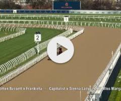 Wootton Bassett/Frankieta '24
