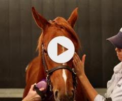 Justify x Kaiken