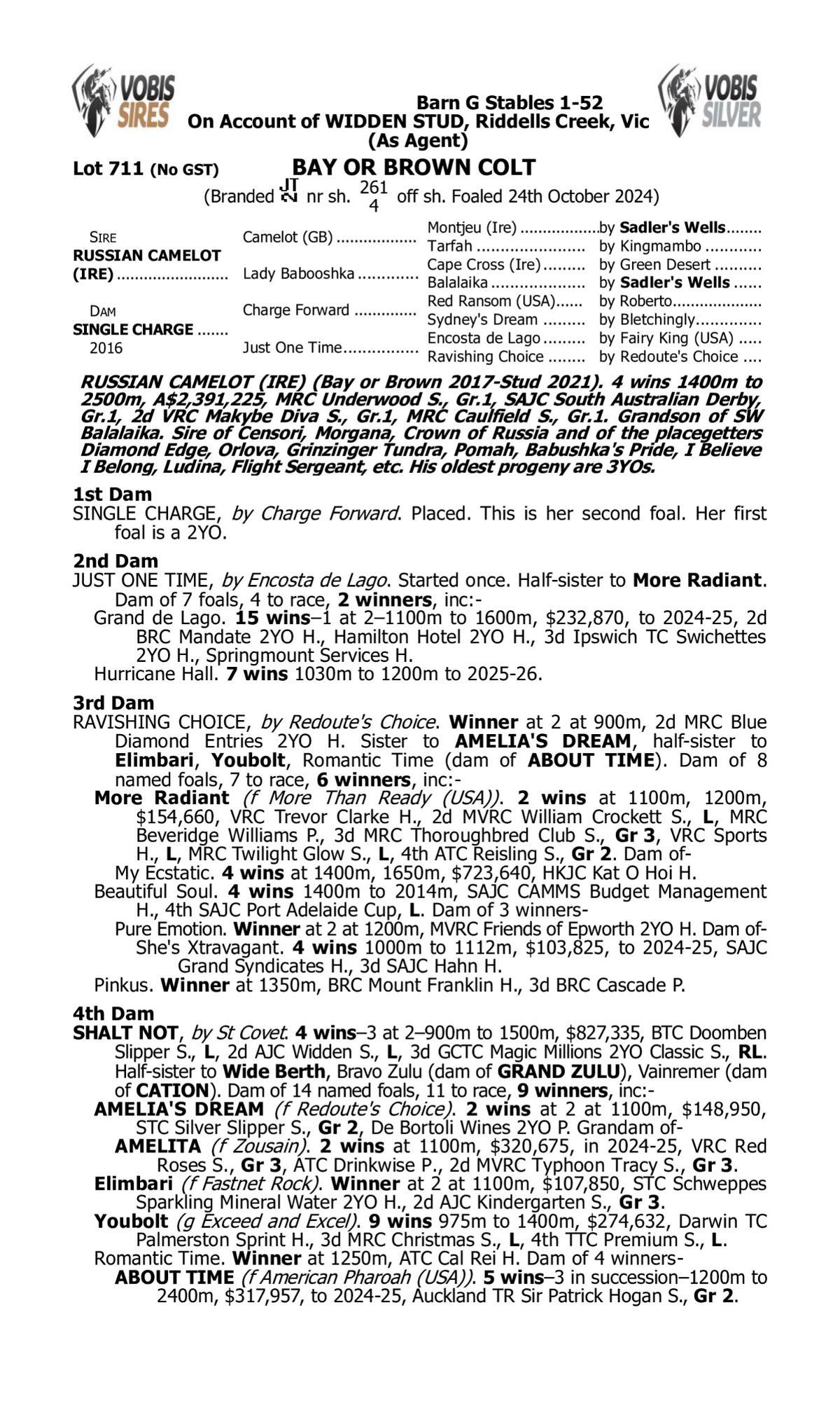 Russian Camelot x Single Charge Colt