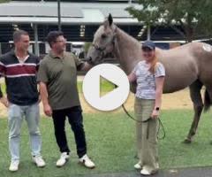 Profiteer x Saluting