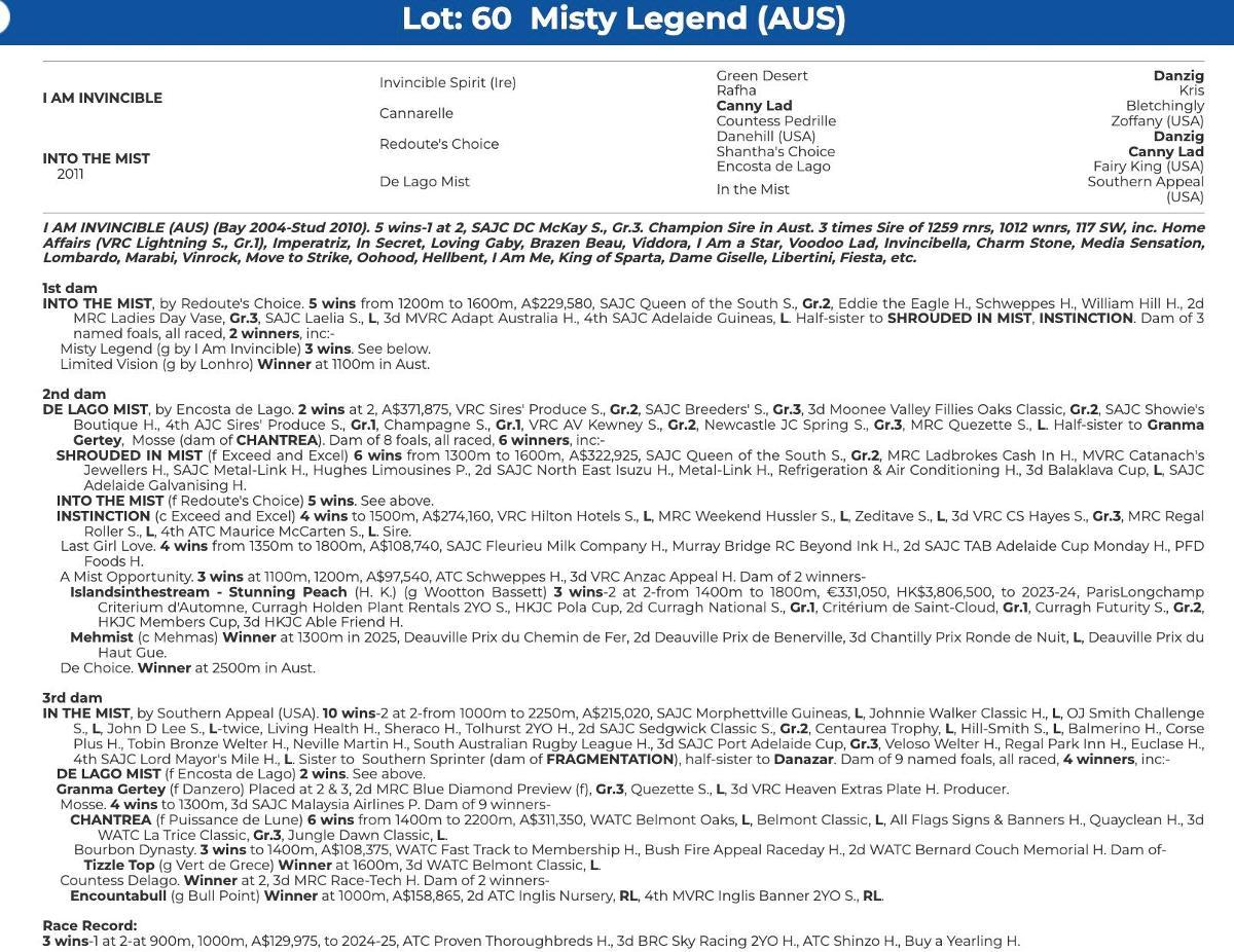 Misty Legend
